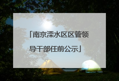 南京溧水区区管领导干部任前公示