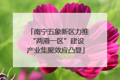 南宁五象新区力推“两港一区”建设 产业集聚效应凸显