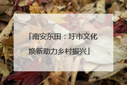 南安东田：圩市文化焕新助力乡村振兴