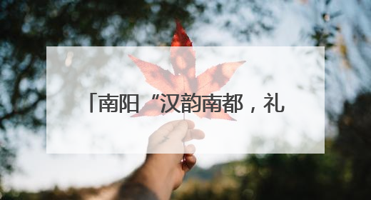 南阳“汉韵南都，礼遇端阳”活动举行