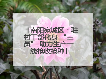 南阳宛城区：驻村干部化身 “三员” 助力生产一线抢收抢种