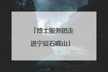 博士服务团走进宁夏石嘴山