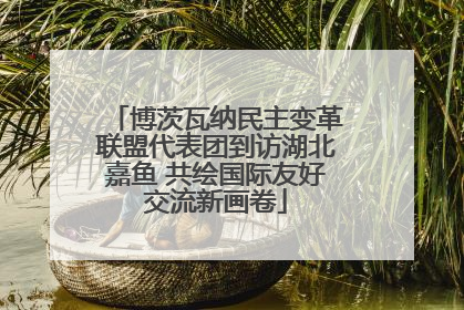 博茨瓦纳民主变革联盟代表团到访湖北嘉鱼 共绘国际友好交流新画卷
