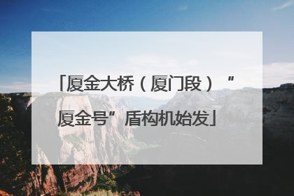 厦金大桥（厦门段）“厦金号”盾构机始发