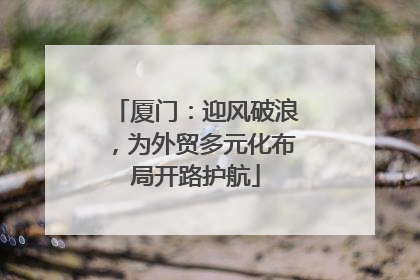 厦门：迎风破浪，为外贸多元化布局开路护航