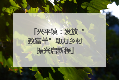 兴平镇：发放“致富羊”助力乡村振兴启新程