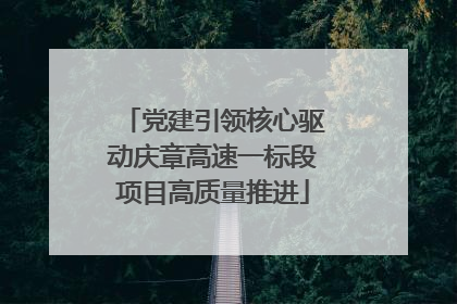 党建引领核心驱动庆章高速一标段项目高质量推进