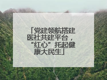 党建领航搭建医社共建平台，“红心”托起健康大民生