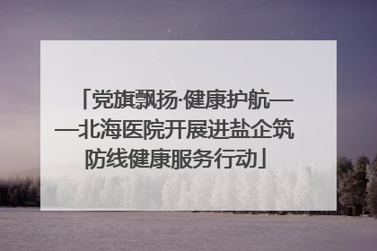 党旗飘扬·健康护航——北海医院开展进盐企筑防线健康服务行动