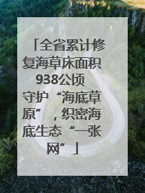 全省累计修复海草床面积938公顷 守护“海底草原”，织密海底生态“一张网”