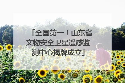 全国第一！山东省文物安全卫星遥感监测中心揭牌成立