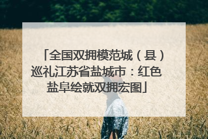 全国双拥模范城（县）巡礼江苏省盐城市：红色盐阜绘就双拥宏图