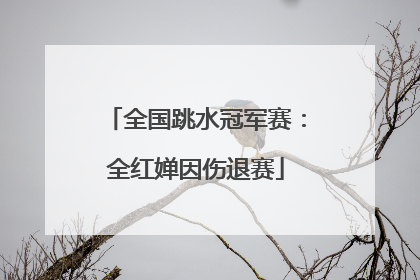 全国跳水冠军赛：全红婵因伤退赛