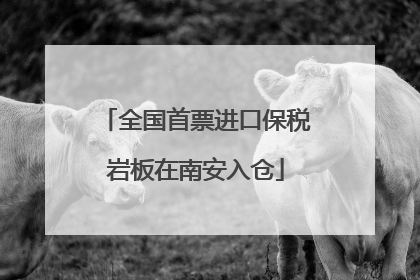 全国首票进口保税岩板在南安入仓