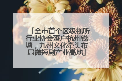 全市首个区级视听行业协会落户杭州钱塘，九州文化牵头布局微短剧产业高地
