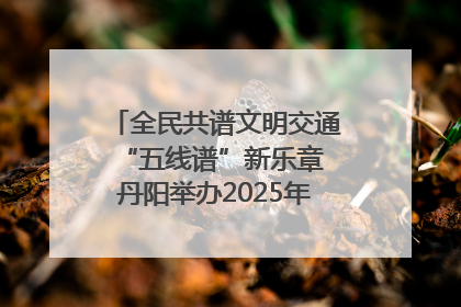 全民共谱文明交通“五线谱”新乐章 丹阳举办2025年“文明交通 同心同行”主题宣传活动