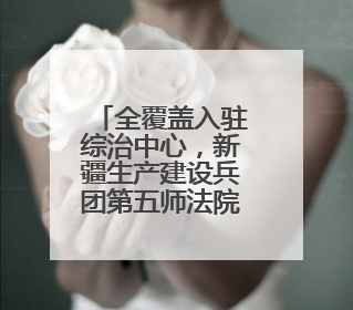 全覆盖入驻综治中心，新疆生产建设兵团第五师法院开启一扇门助力高速讨薪获赞