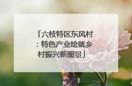 六枝特区东风村：特色产业绘就乡村振兴新图景