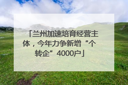 兰州加速培育经营主体，今年力争新增“个转企”4000户