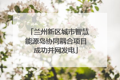 兰州新区城市智慧能源岛协同耦合项目成功并网发电