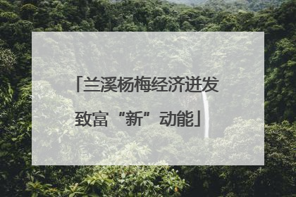 兰溪杨梅经济迸发致富“新”动能