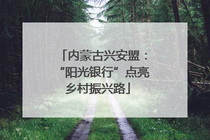 内蒙古兴安盟：“阳光银行”点亮乡村振兴路