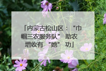 内蒙古松山区：“巾帼三农服务队” 助农增收有 “她” 功