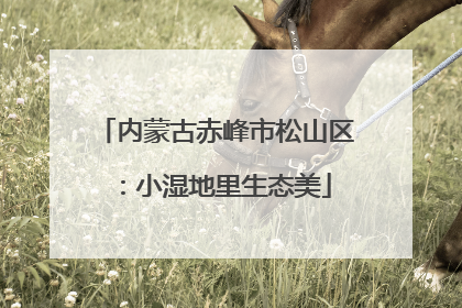 内蒙古赤峰市松山区：小湿地里生态美