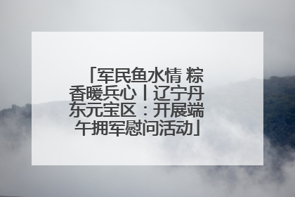 军民鱼水情 粽香暖兵心丨辽宁丹东元宝区：开展端午拥军慰问活动