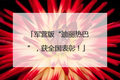 军营版“迪丽热巴”，获全国表彰！