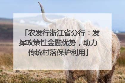 农发行浙江省分行：发挥政策性金融优势，助力传统村落保护利用