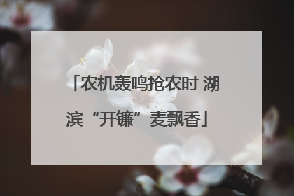 农机轰鸣抢农时 湖滨“开镰”麦飘香