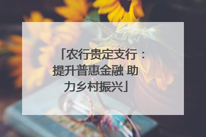 农行贵定支行：提升普惠金融 助力乡村振兴