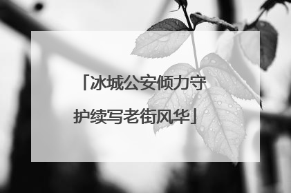 冰城公安倾力守护续写老街风华