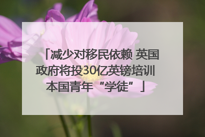 减少对移民依赖 英国政府将投30亿英镑培训本国青年“学徒”