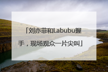 刘亦菲和Labubu握手，现场观众一片尖叫