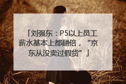 刘强东：P5以上员工薪水基本上都翻倍，“京东从没卖过假货”