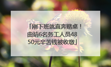 刚下班就直奔赌桌！曲靖6名务工人员4850元辛苦钱被收缴
