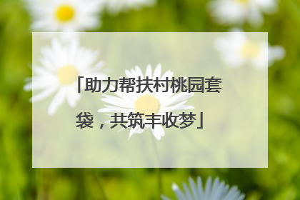 助力帮扶村桃园套袋，共筑丰收梦