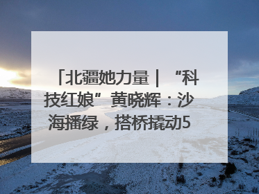 北疆她力量｜“科技红娘”黄晓辉：沙海播绿，搭桥撬动5.3亿研发