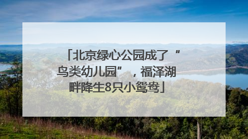 北京绿心公园成了“鸟类幼儿园”，福泽湖畔降生8只小鸳鸯
