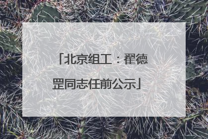 北京组工：翟德罡同志任前公示