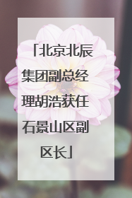 北京北辰集团副总经理胡浩获任石景山区副区长