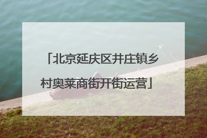 北京延庆区井庄镇乡村奥莱商街开街运营