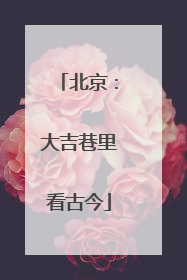 北京:大吉巷里看古今