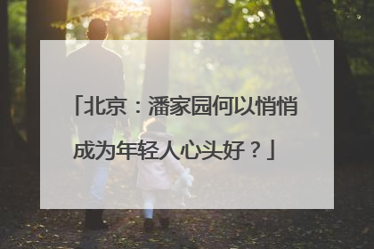 北京：潘家园何以悄悄成为年轻人心头好？