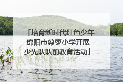 培育新时代红色少年 绵阳市桑枣小学开展少先队队前教育活动