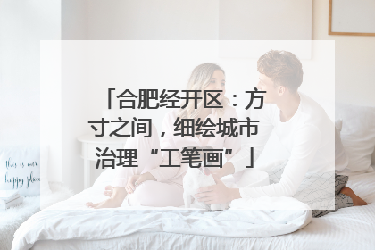 合肥经开区：方寸之间，细绘城市治理“工笔画”