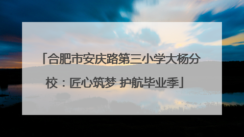 合肥市安庆路第三小学大杨分校：匠心筑梦 护航毕业季
