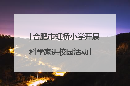 合肥市虹桥小学开展科学家进校园活动